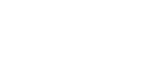 Logo Selvert